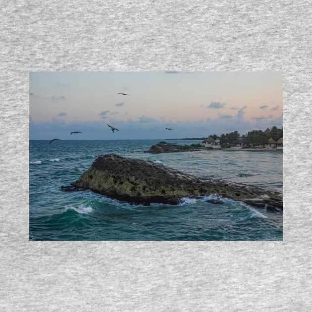 Tulum Mexico Pelicans flying over Tulum beach at sunset MX by WayneOxfordPh